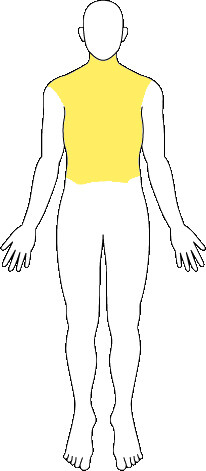 頚椎・胸椎・腰椎等