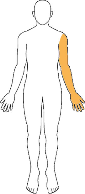 肩・腕・手