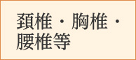 頚椎・胸椎・腰椎等