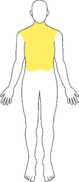 頚椎・胸椎・腰椎等