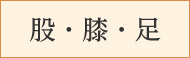 股・膝・足